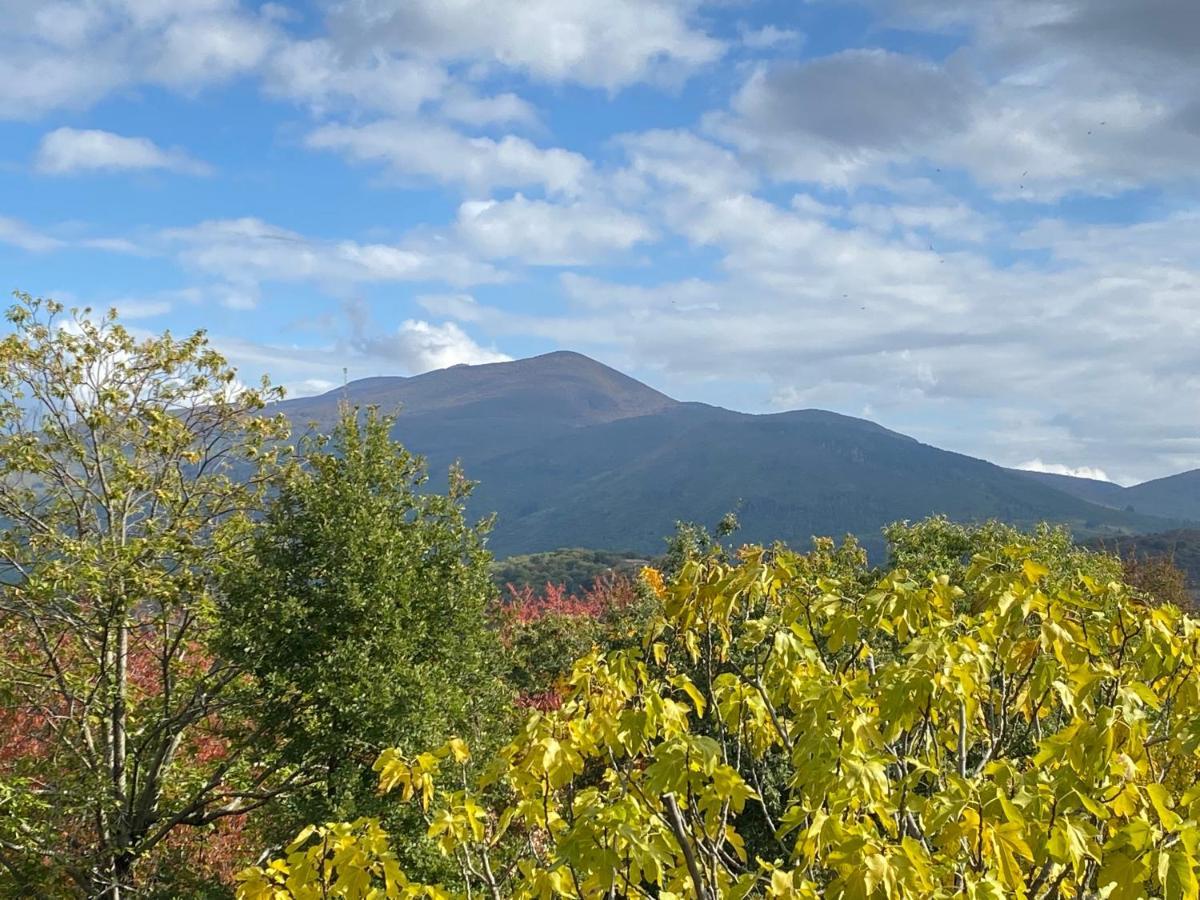 アルチドッソ La Colombaia Amiata Bed & Breakfast エクステリア 写真