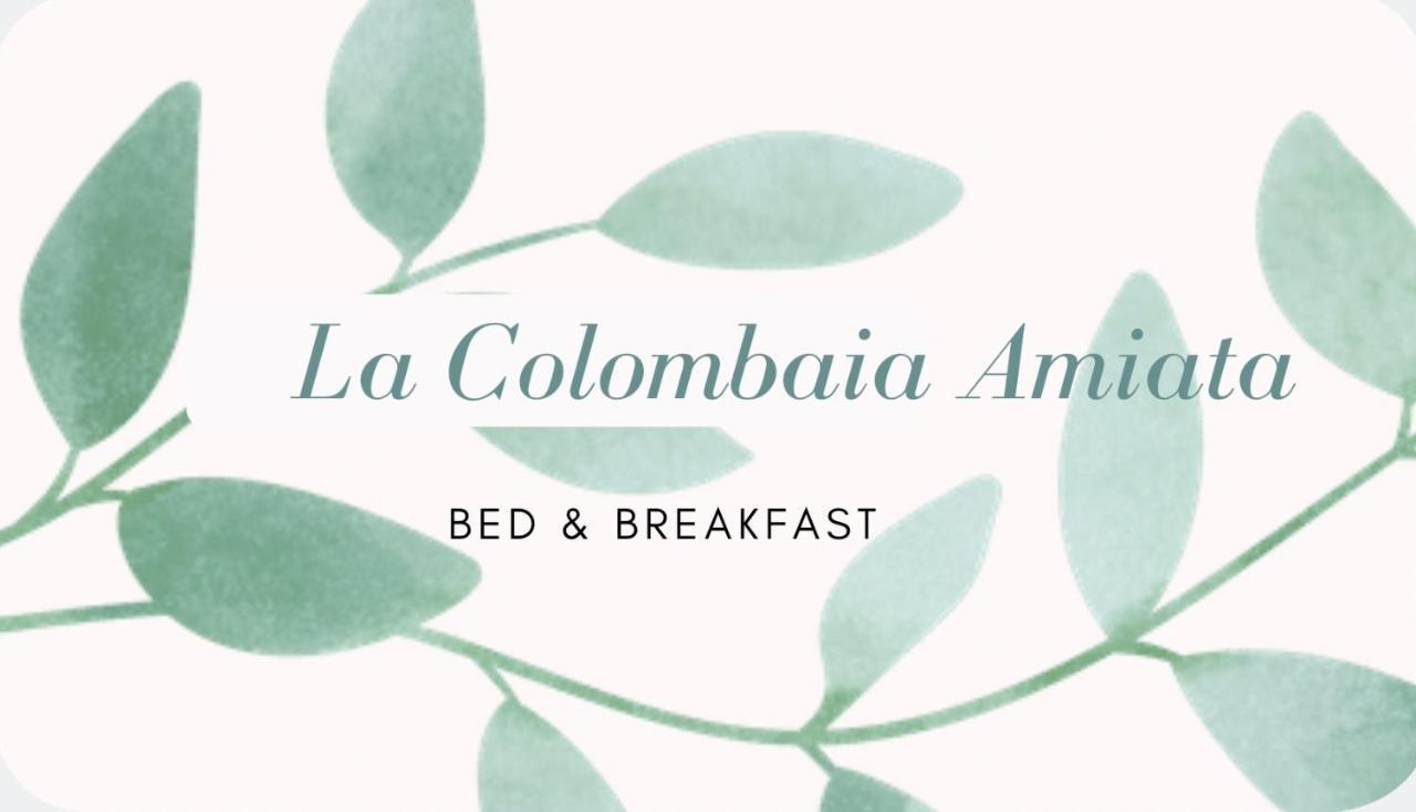 アルチドッソ La Colombaia Amiata Bed & Breakfast エクステリア 写真